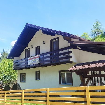 Готель Casa Pietrosu Rodnei Борша Екстер'єр фото