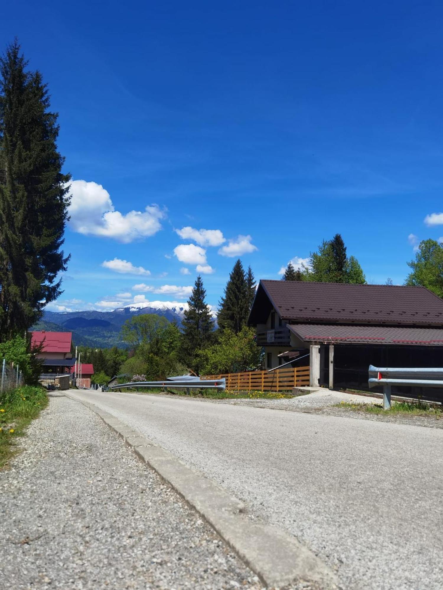 Готель Casa Pietrosu Rodnei Борша Екстер'єр фото